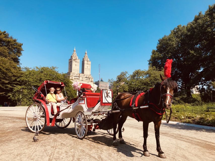 Manhattan: VIP Private Horse Carriage Ride in Central Park - Who should book this VIP carriage ride—and who might skip it