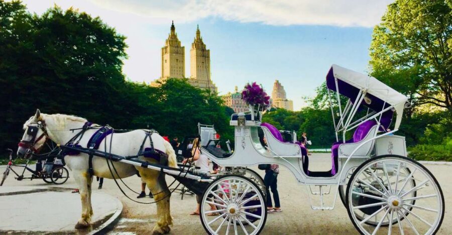 Manhattan: VIP Private Horse Carriage Ride in Central Park - Meeting at the José Martí Equestrian Statue
