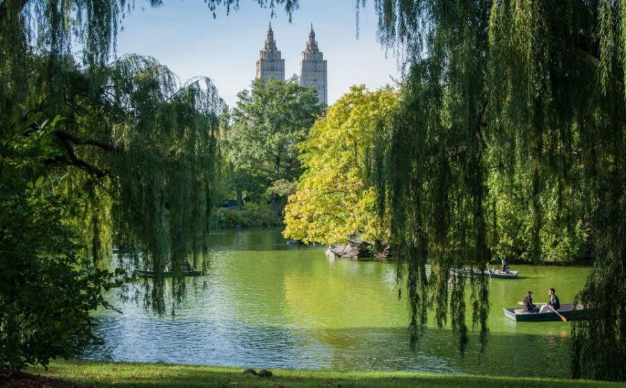 New York: Carriage Ride in Central Park - Bethesda Fountain: the landmark stop that feels like a scene from the movies