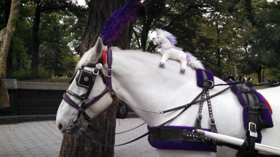 New York: Carriage Ride in Central Park - Wollman Rink and the Carousel: where winter romance meets classic New York