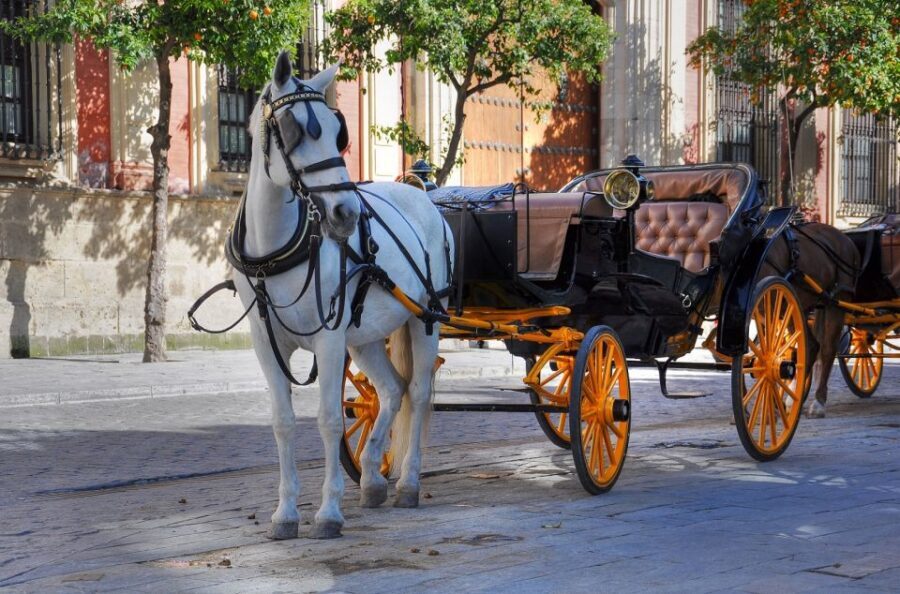 New York: Carriage Ride in Central Park - Tavern on the Green and the park’s larger feel