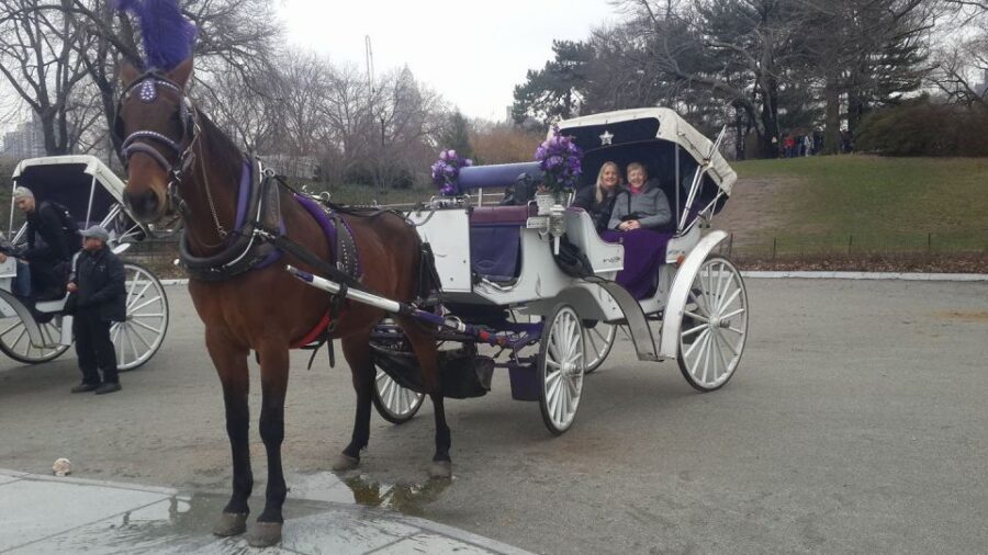 New York: Carriage Ride in Central Park - Getting the most from your ride: how to think like a local