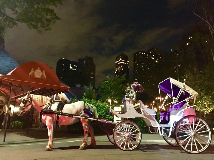 New York: Carriage Ride in Central Park - Meeting at 7th Avenue and settling in