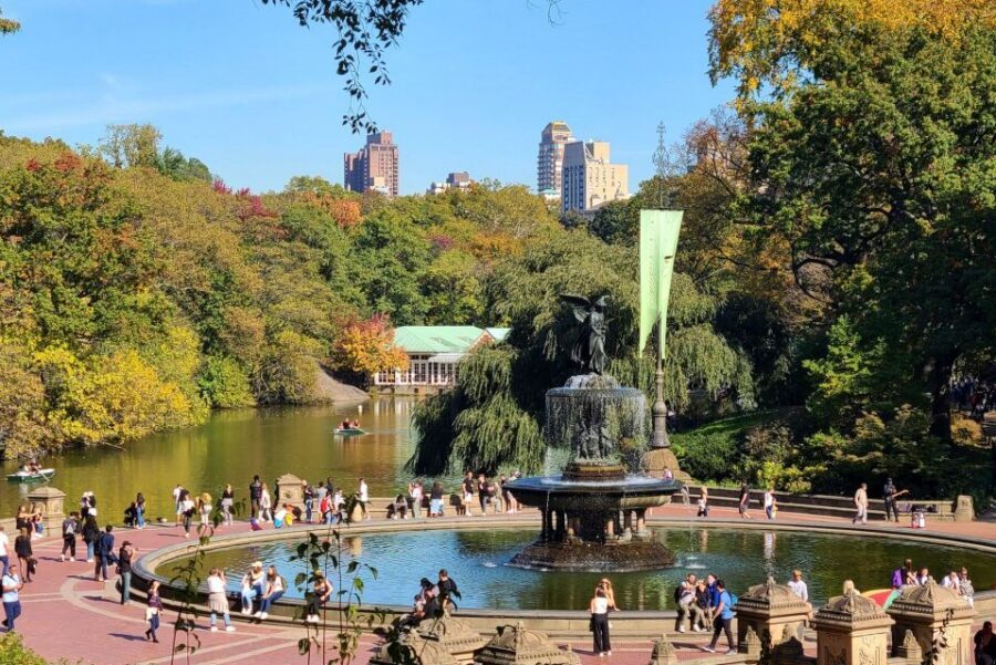 New York City: All Day Bike Rental and Central Park Picnic - Practical tips that make the day smoother (and less stressful)