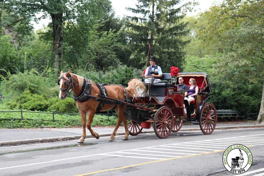 New York City: Central Park Horse Carriage 25-min Ride - Key things to know before you ride