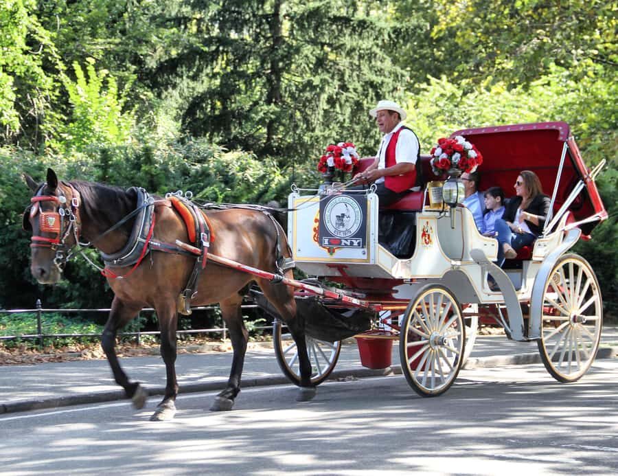 New York City: Central Park Horse Carriage 25-min Ride - Central Park, 25 minutes on a horse-drawn carriage