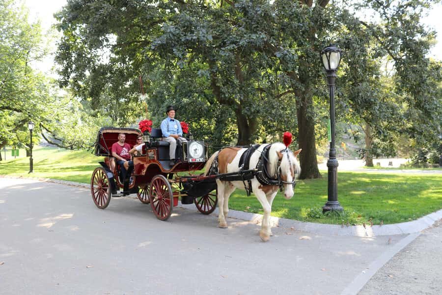 New York City: Central Park Horse Carriage 25-min Ride - Where to meet on West Drive and how to spot your carriage