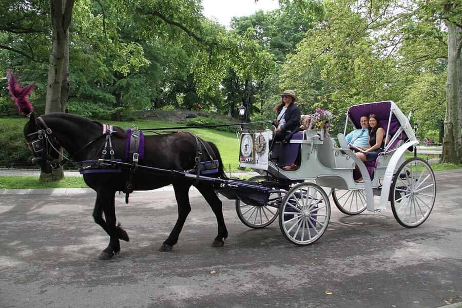 New York City: Central Park Horse Carriage 25-min Ride - Wollman Rink to Chess & Checker House: the ride’s recognizable core