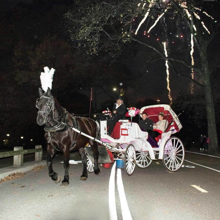 New York City: Central Park Horse Carriage 25-min Ride - The Dairy photo stop: Victorian cottage, visitor center, and great photos