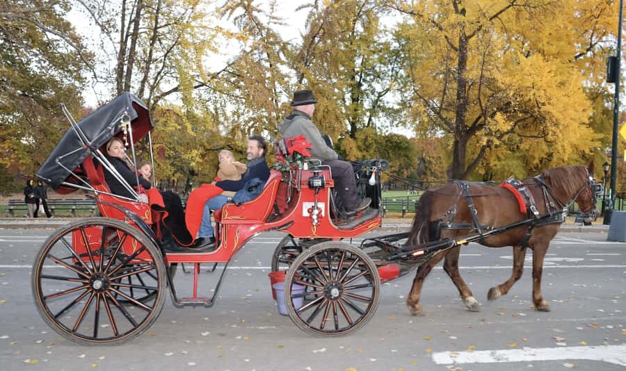 New York City: Central Park Horse Carriage 25-min Ride - Passing the Zoo, gliding by The Pond, and spotting the Plaza Hotel