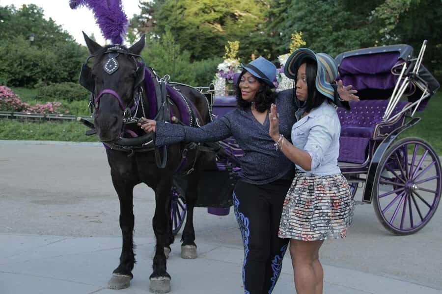 New York City: Central Park Horse Carriage 25-min Ride - What your English-speaking driver does (and why it matters)
