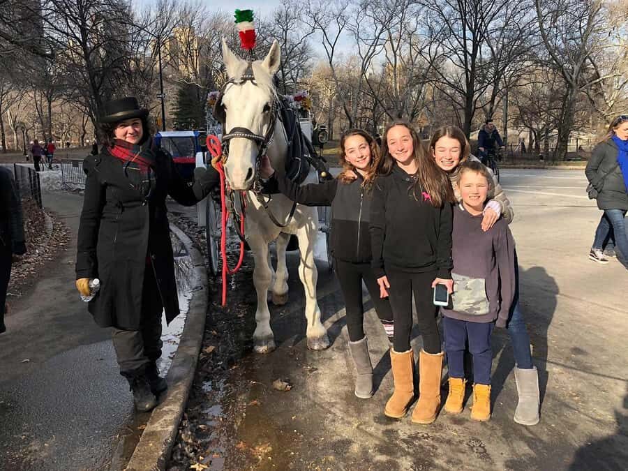 New York City: Central Park Horse Carriage 25-min Ride - Timing, weather, and how to dress for comfort