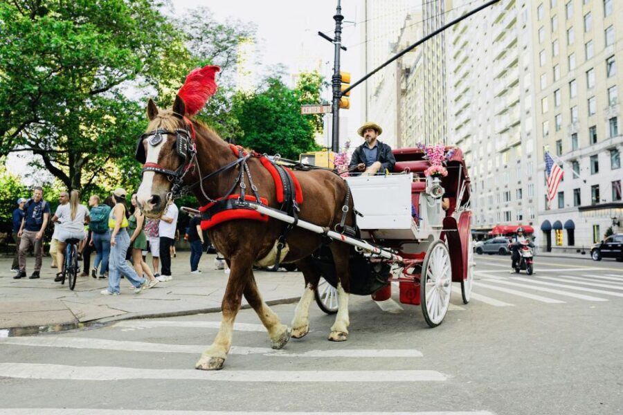 New York City: Central Park Private Horse and Carriage Tour - Meeting at José Julián Martí Statue and Finding Your Carriage