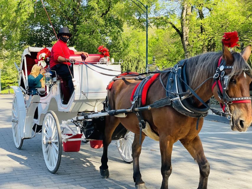 New York City: Central Park Private Horse and Carriage Tour - From Carousel to the Central Park Zoo: A Gentle Start You Don’t Rush