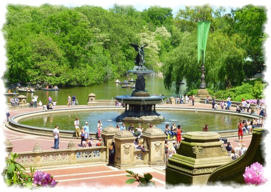 New York City: Central Park Private Horse and Carriage Tour - Plaza Hotel and Balto: City Glam Meets Park Quirks