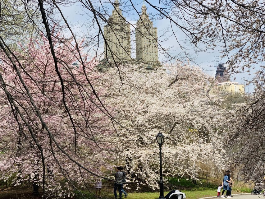 New York City: Central Park Private Horse and Carriage Tour - VIP Photo Stops: Bethesda Fountain, Cherry Hill, and Bow Bridge