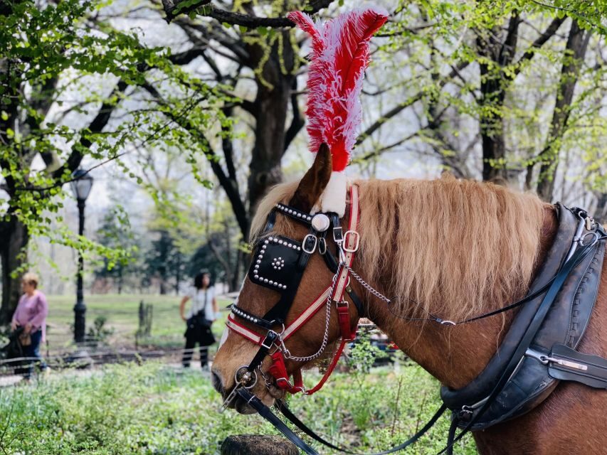 New York City: Central Park Private Horse and Carriage Tour - Central Park Lake, Strawberry Fields, and Tavern on the Green
