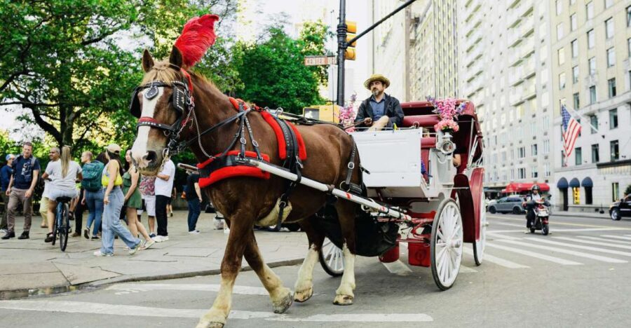 New York City: Central Park Private Horse and Carriage Tour - Duration and Value: 45 to 55 Minutes for Up to Four