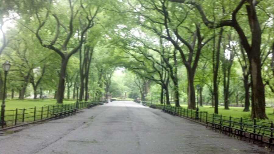 New York City: Central Park Walking Tour - Key points before you lace up your shoes