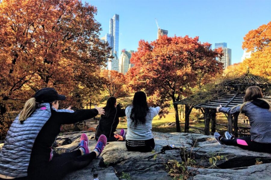 New York City: Central Park Yoga and Walking Tour - Meeting at Grand Army Plaza: Where the tour starts and how to find it fast