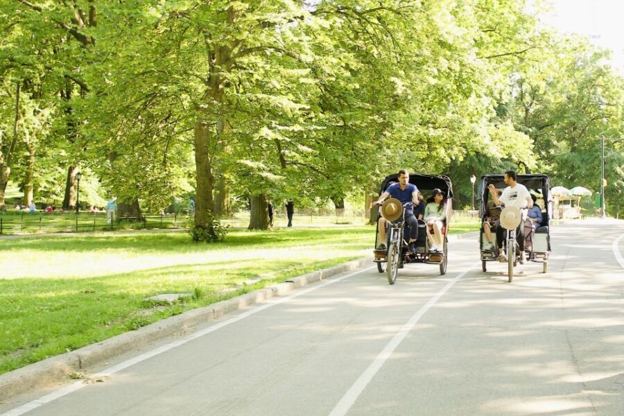 New York City: Private Central Park Pedicab Tour - What the route really teaches you about Central Park