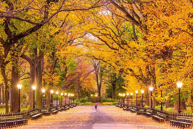 New York’s Iconic Central Park: A Self-Guided Audio Tour - Entering at Grand Army Plaza by the Plaza Hotel