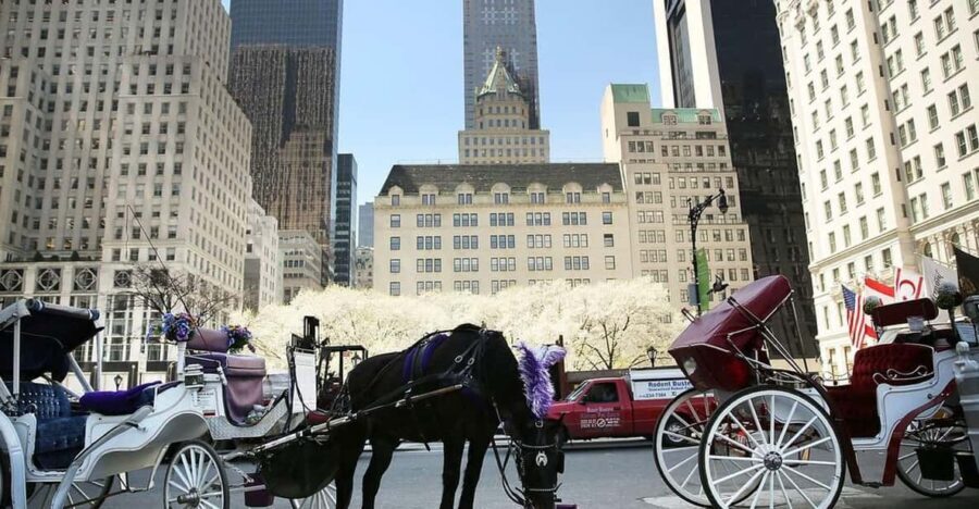 NYC: Central Park Christmas Lights Horse-Drawn Carriage Ride - Why a 45-Minute Central Park Christmas Lights Carriage Ride Works