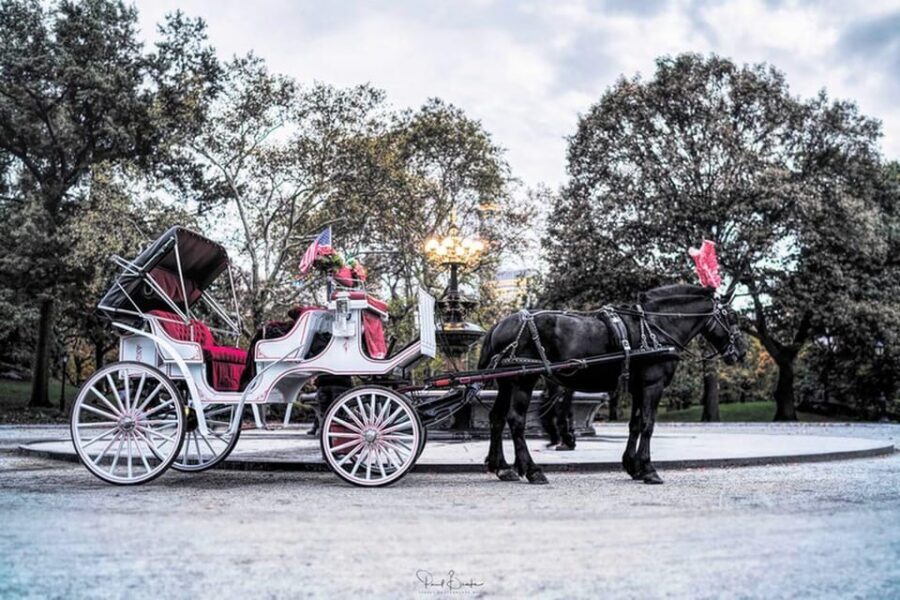 NYC: Central Park Christmas Lights Horse-Drawn Carriage Ride - Private group comfort: up to four people, up close with the lights