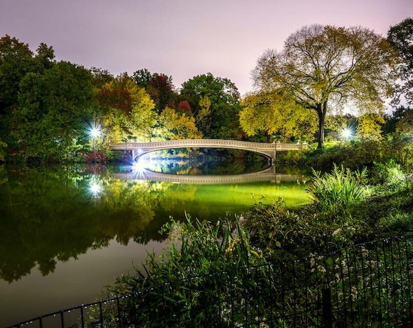 NYC: Central Park Christmas Lights Horse-Drawn Carriage Ride - Price and value: $275 per group up to four