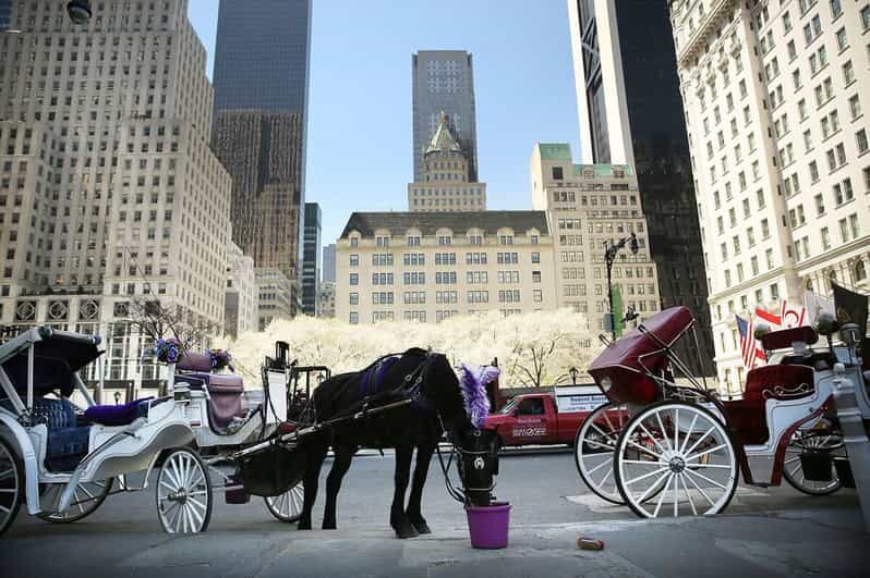 NYC: Central Park Christmas Lights Horse-Drawn Carriage Ride - Getting to the start: 59th St and 7th Ave, then riding out from Central Park S