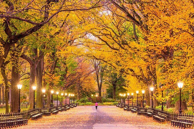 NYC Central Park guided Pedicab Tour - 2 hours - Where you start on 1794 Broadway, and how the 2-hour pace feels