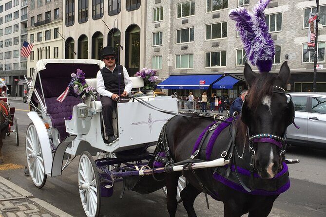 NYC Central Park Horse and Carriage Ride: Long Ride 45 min - The photo stop by the lake: your easiest great shot