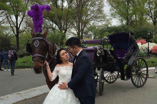 NYC Central Park Horse and Carriage Ride: Long Ride 45 min - Private carriage comfort: pace, interaction, and horses