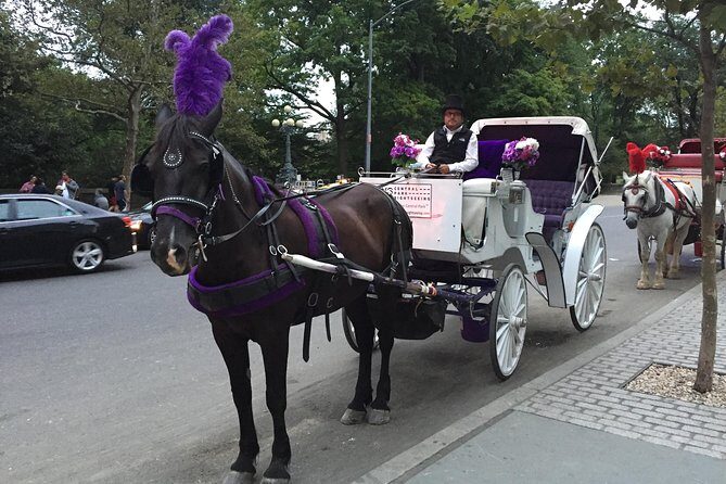 NYC Central Park Horse and Carriage Ride: Long Ride 45 min - Central Park Carousel, Wollman Rink, and the “seasonal” feel