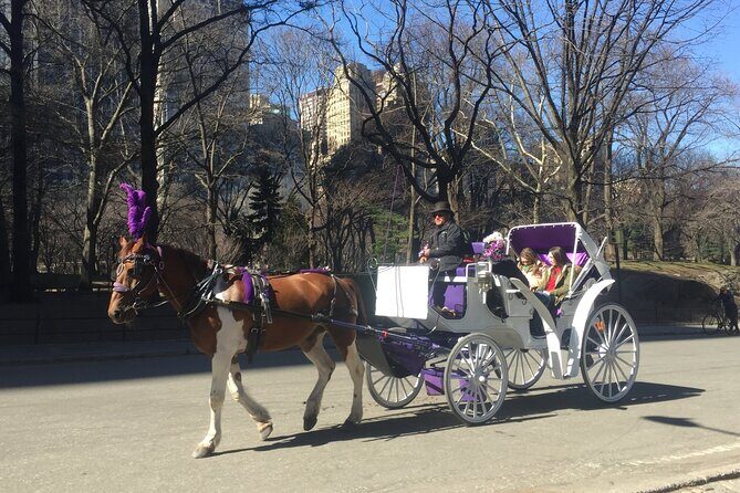 NYC Central Park Horse and Carriage Ride: Long Ride 45 min - Price and value: when this is worth the splurge