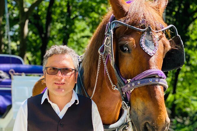 NYC Central Park Horse and Carriage Ride: Long Ride 45 min - Who should book this and who should skip it