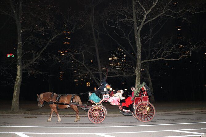 NYC Central Park Horse Carriage Ride (Up to 4 Adults) - Stop 2: Wollman Rink and the winter-skyline feel