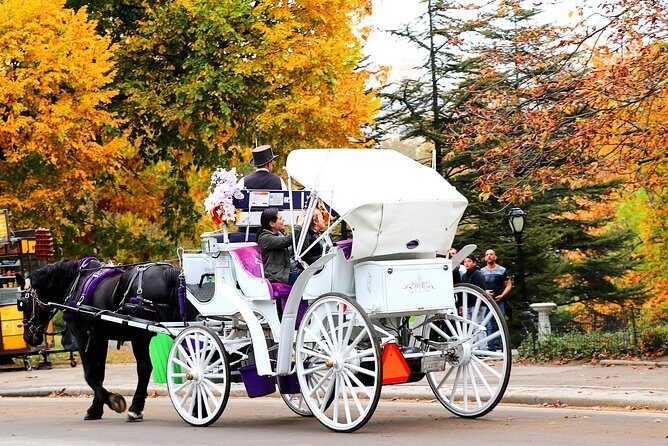 NYC Central Park Horse Carriage Ride (Up to 4 Adults) - Stop 3: Central Park Carousel for classic charm (and easy smiles)