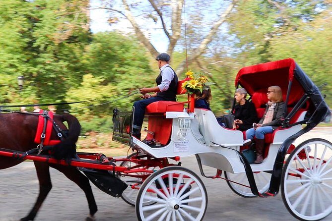 NYC Central Park Horse Carriage Ride (Up to 4 Adults) - Price and value: what $225 per carriage really buys