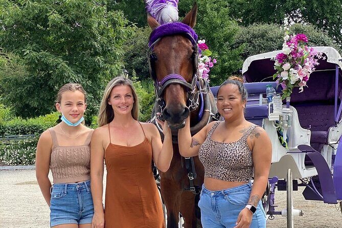 NYC Central Park Horse Carriage Rides (Winter sale) - Key Highlights I’d Prioritize