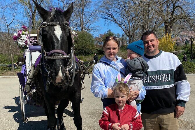 NYC Central Park Horse Carriage Rides (Winter sale) - Winter Comfort: Blankets, Horses, and How to Stay Enjoyably Warm