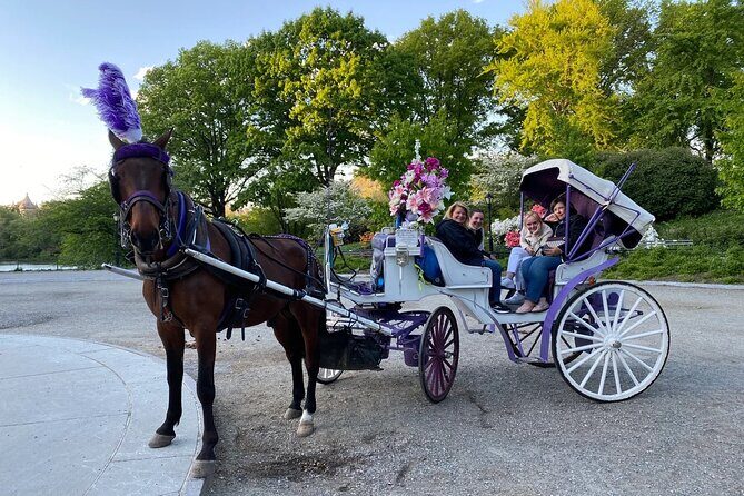 NYC Central Park Horse Carriage Rides (Winter sale) - Central Park Route: From Ice-Close Attractions to Big Landmark Moments