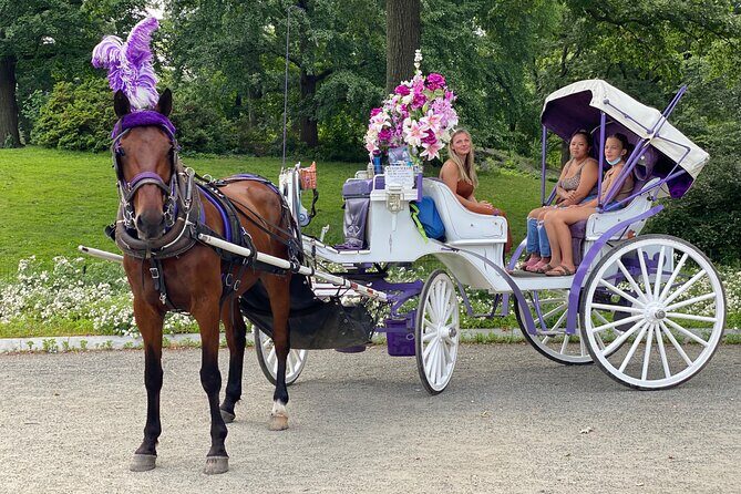 NYC Central Park Horse Carriage Rides (Winter sale) - The Meadow and Old-School NYC Winter Vibe