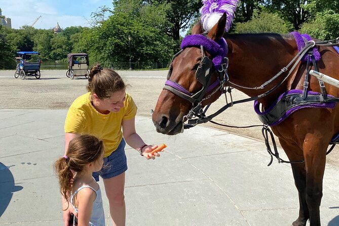 NYC Central Park Horse Carriage Rides (Winter sale) - Feeding the Horses: The Moment Kids Remember