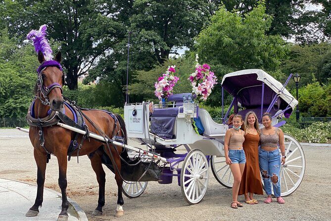 NYC Central Park Horse Carriage Rides (Winter sale) - Private, Small-Group Carriage Time (And Why That’s a Big Deal)