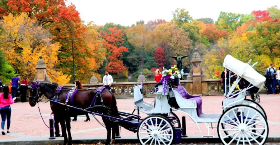 NYC: Central Park Horse-Drawn Carriage Ride (up to 4 Adults) - Horse-Drawn Calm in the Middle of Midtown
