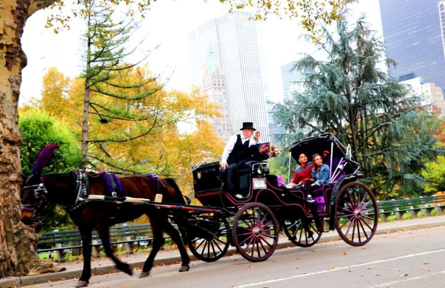 NYC: Central Park Horse-Drawn Carriage Ride (up to 4 Adults) - Tavern on the Green Views: A Landmark You’ve Probably Heard Of