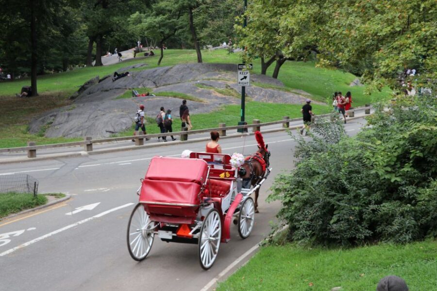 NYC: Central Park Horse-Drawn Carriage Ride (up to 4 Adults) - Bethesda Fountain and the Angel of the Waters: The Pause You’ll Be Glad You Took