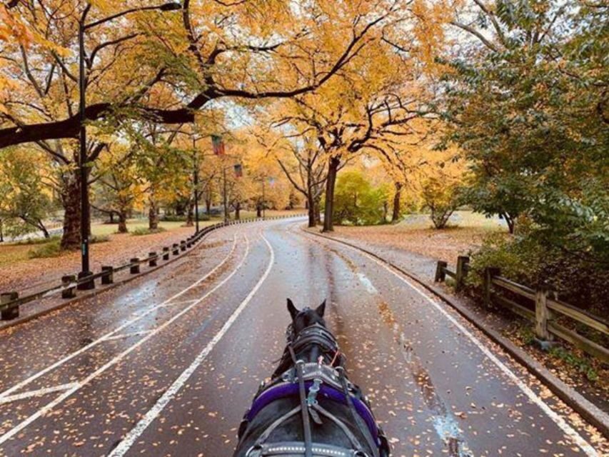 NYC: Central Park Horse-Drawn Carriage Ride (up to 4 Adults) - Dairy, Carousel, and Shakespeare: Stories That Turn Sights Into Meaning