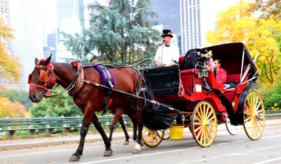 NYC: Central Park Horse-Drawn Carriage Ride (up to 4 Adults) - English Lawn-Bowling Court, Sherman Statue, and Mazzini Bust